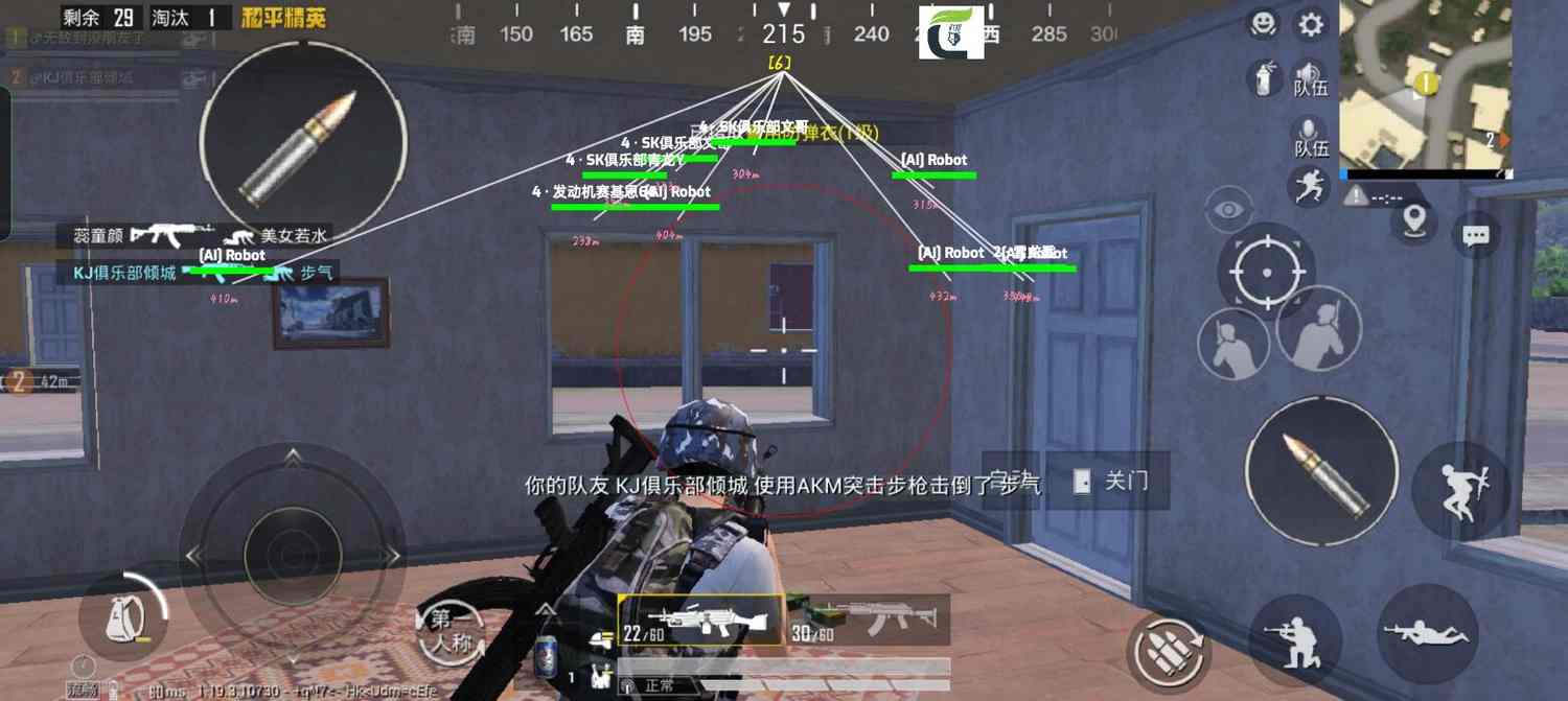 和平精英辅助【星光】